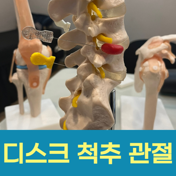 디스크 척추 관절 원인을 찾고 근본적으로 치료합니다